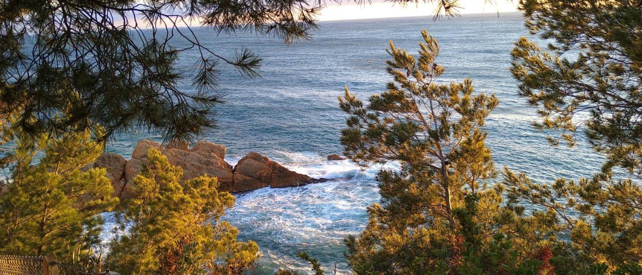 Le Paradis Bleu Calanque De Figuieres, Paddle Et Veranda Ensues-la-Redonne Exterior foto